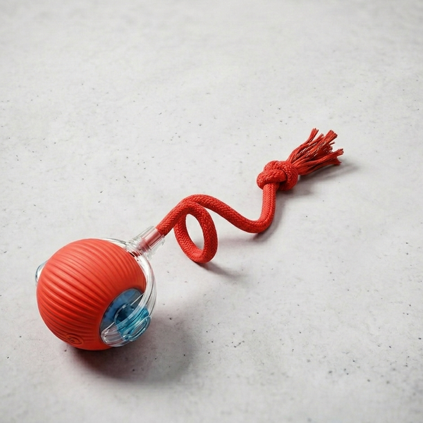 New Dog/Cat Interactive Ball Toy,Automatic Rolling Dog/Cat Ball Rechargeable,Smart Puppy/Kitty Interactive Toy,Intelligent Balls Toy for Dogs and Cats!